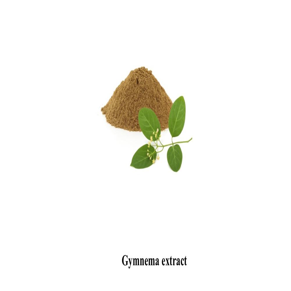 Gymnema dry extract 25% GV