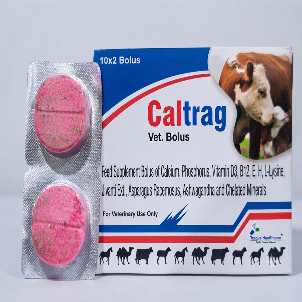 Calcium Veterinary Bolus - Ingredients: Chemicals