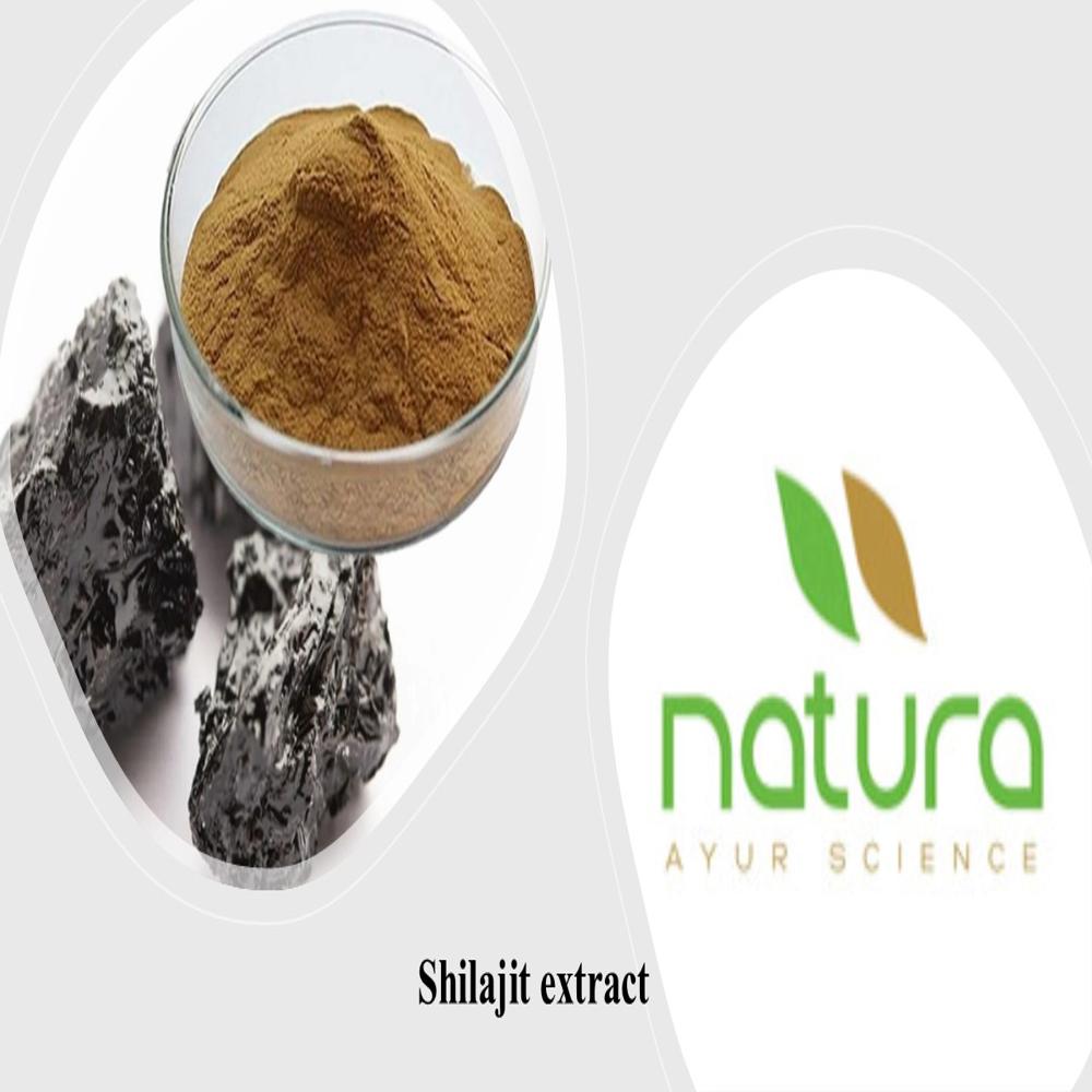 Shilajit Extract 20% Gv - Color: Brown To Dark Brown Powder