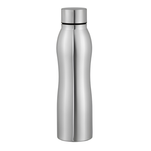 Stainless Steel Bottle - Color: Silver