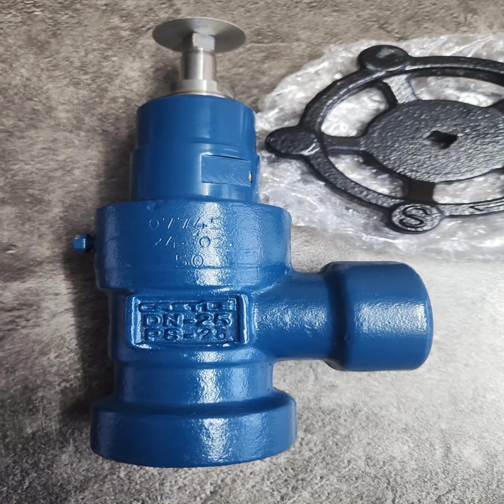 Ammonia Globe valve