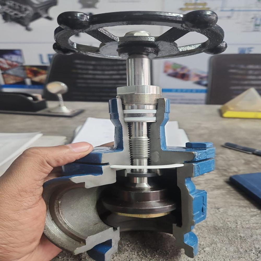 Ammonia Globe valve