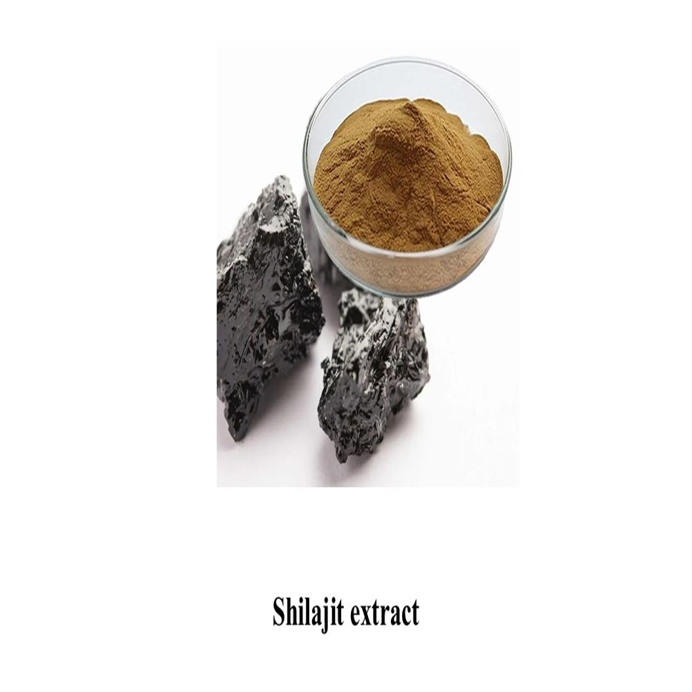 Shilajith extract 70% GV