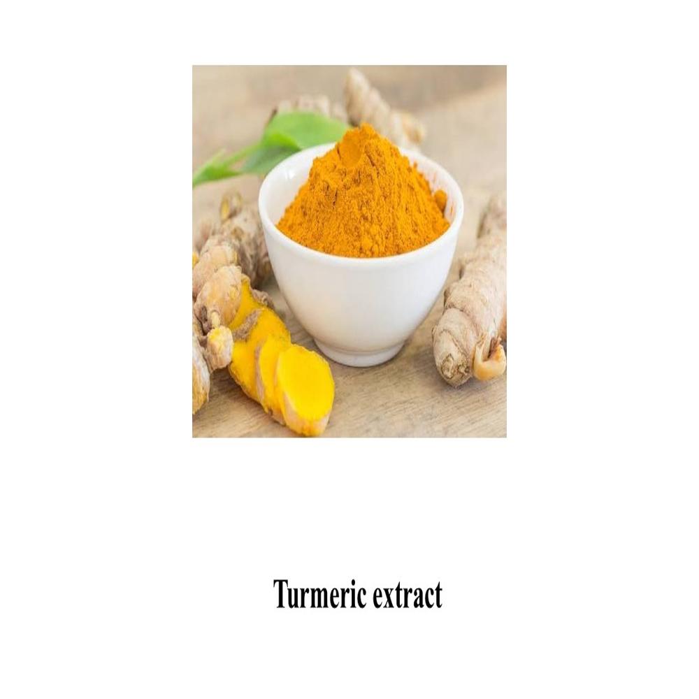 Turmeric Extract 10% - Color: Yellow To Orange-yellow Powder