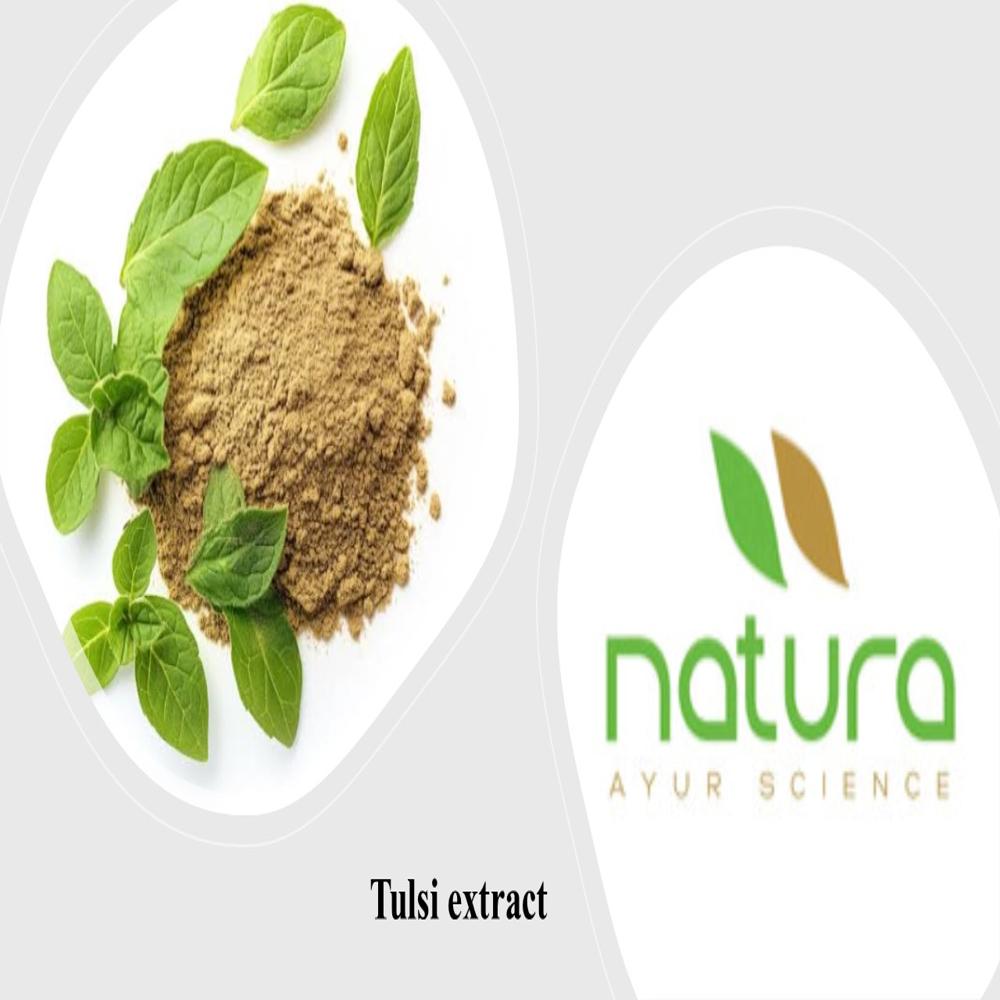 Tulsi Extract 2.5% Hplc - Color: Brownish Powder
