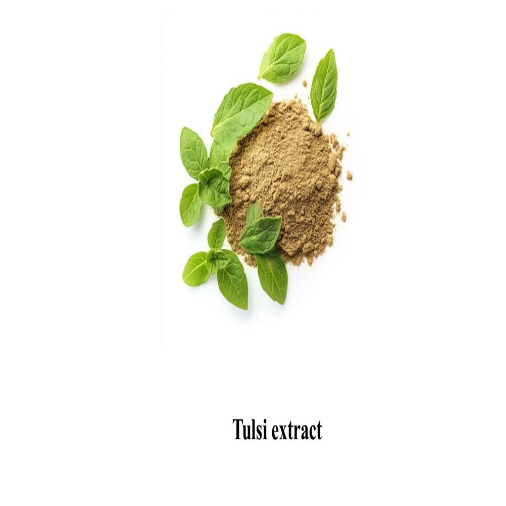 Tulsi extract 2.5% HPLC