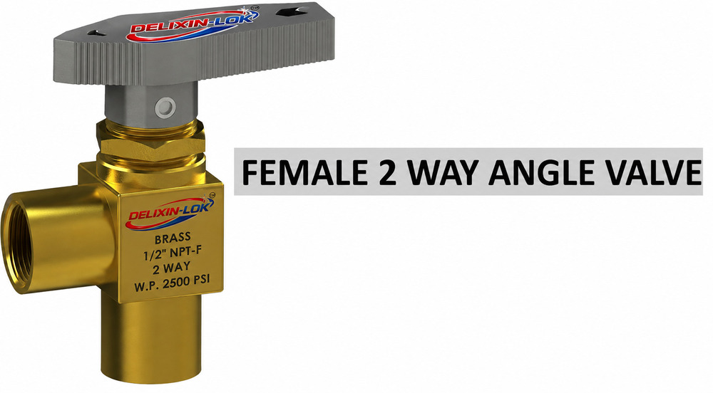 Female 2 Way Angle Ball Valve