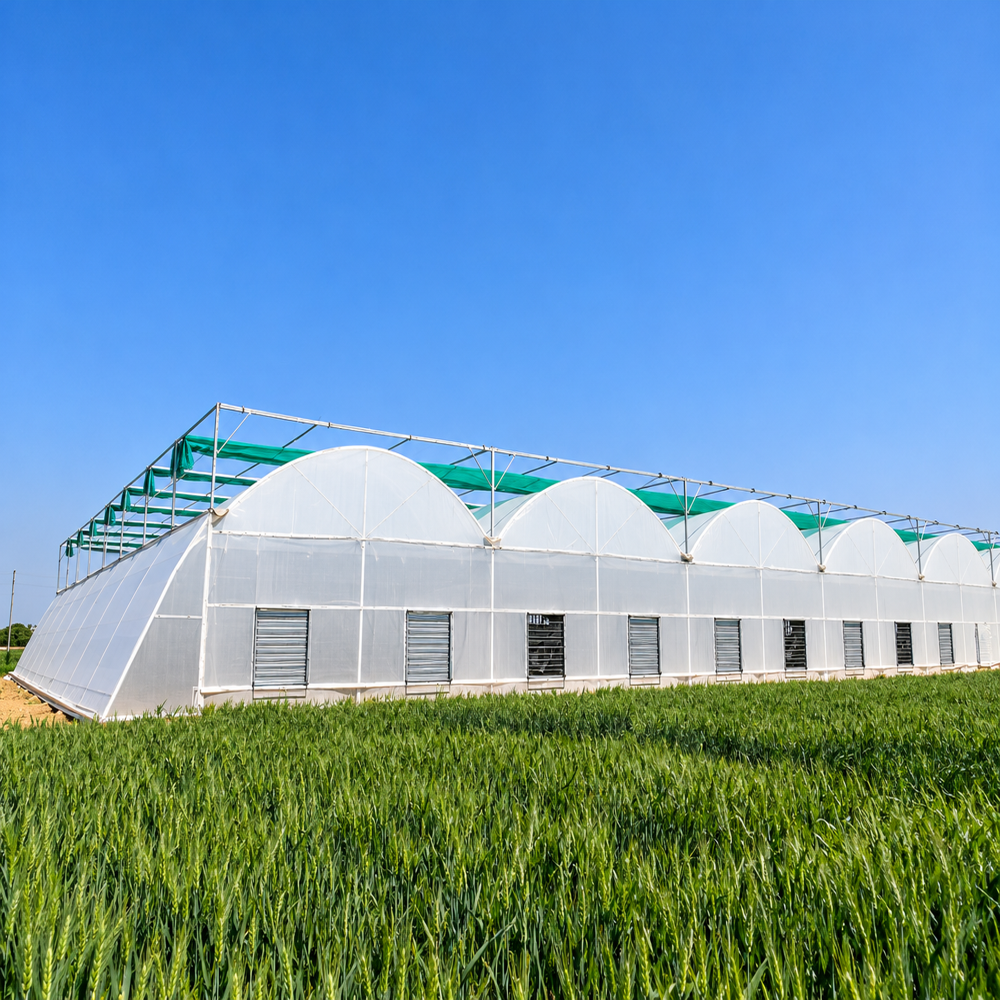 Fan And Pad Greenhouses