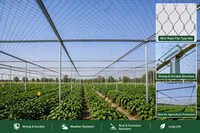 Wire Rope Net House