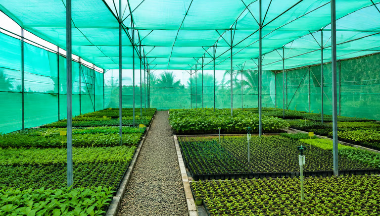Nursery Structure