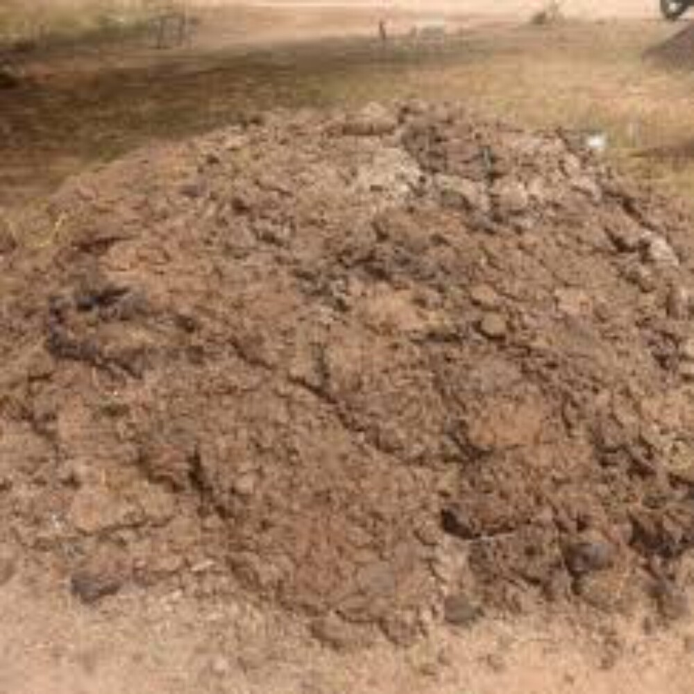 Cow Dung Manure