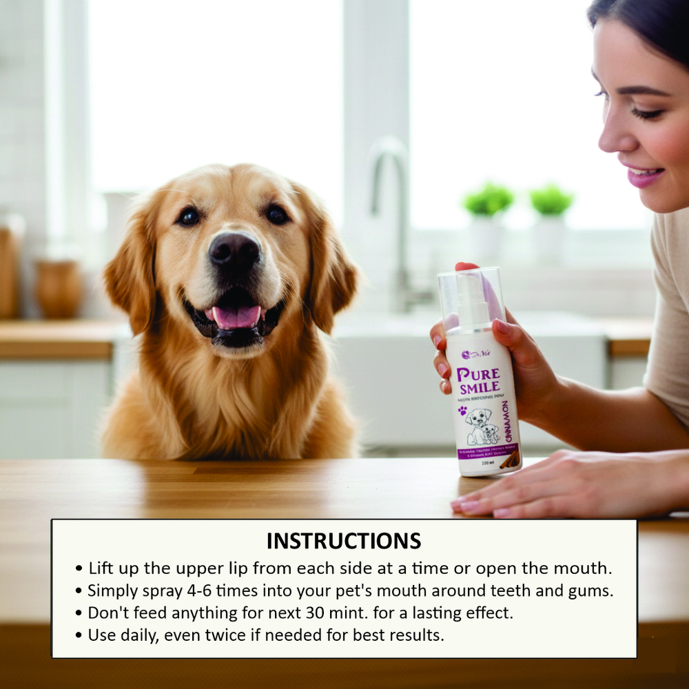 PURE SMILE MOUTH REFESHING SPRAY