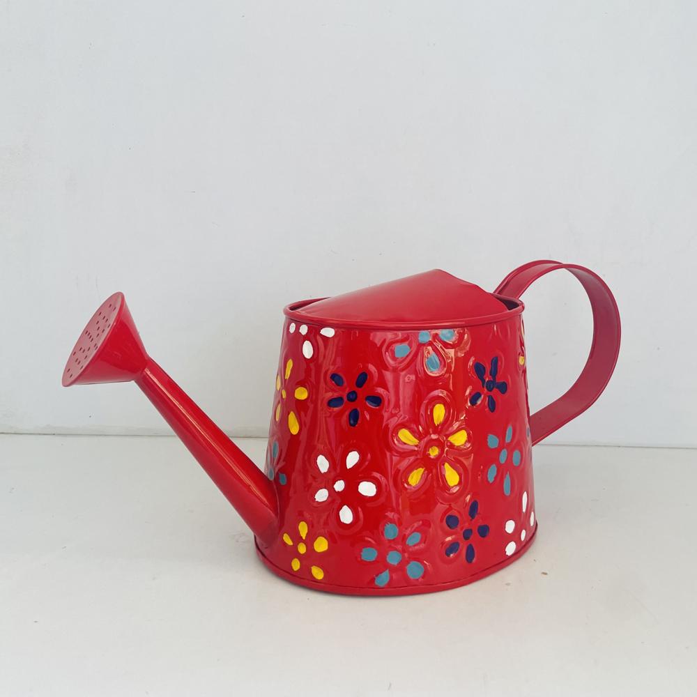 Plants Watering Can