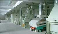 Dal Milling Plant