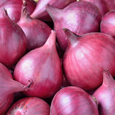Fresh Onion