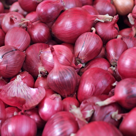 Fresh Onion - Cultivation Type: Organic