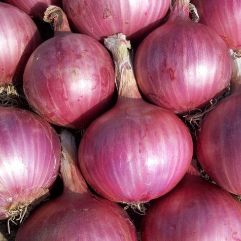 Fresh Onion - Cultivation Type: Organic