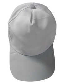 Advertised Polyester Cap