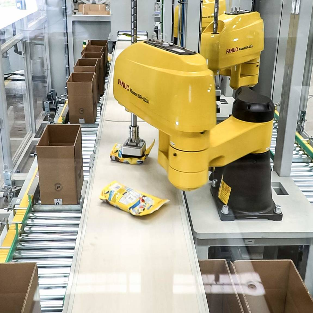 Case Packer Solution
