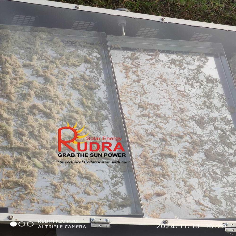Solar Food Dryer 