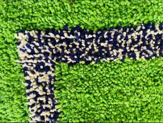 Fancy Door Mat