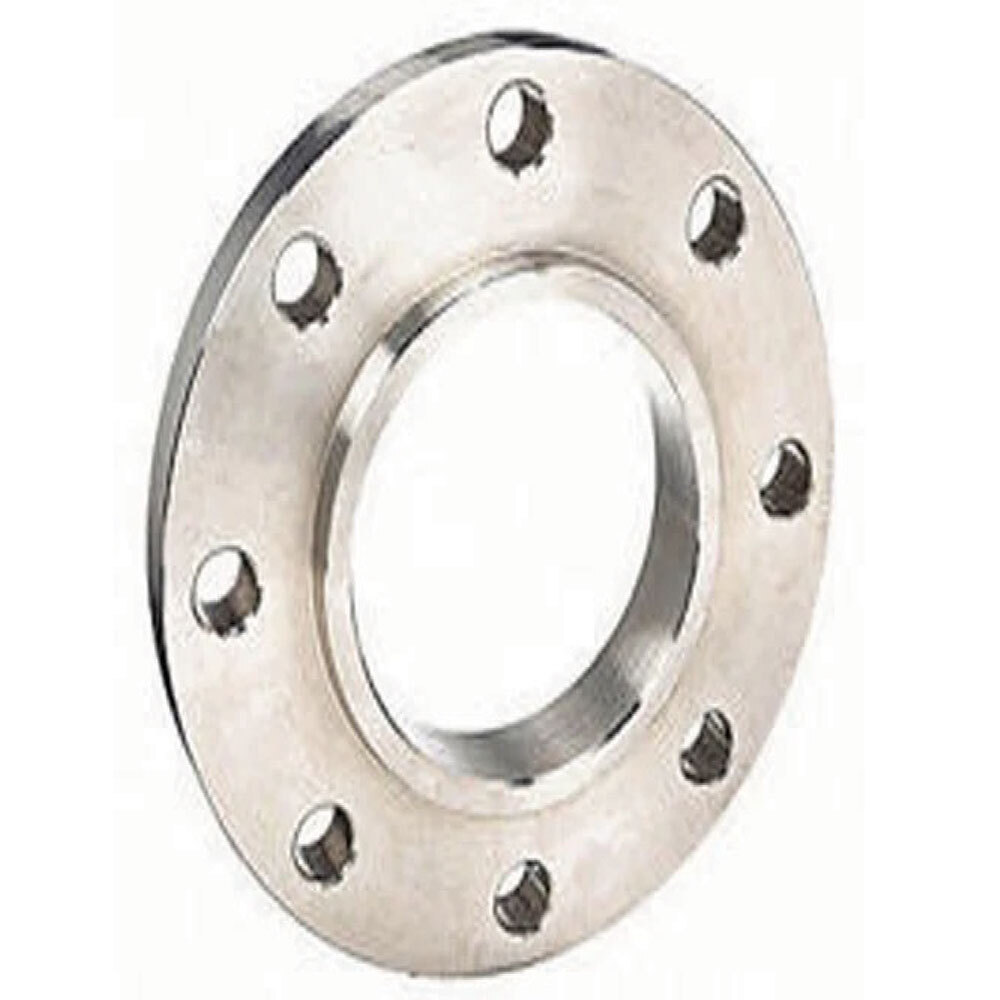 SS 304H Flanges