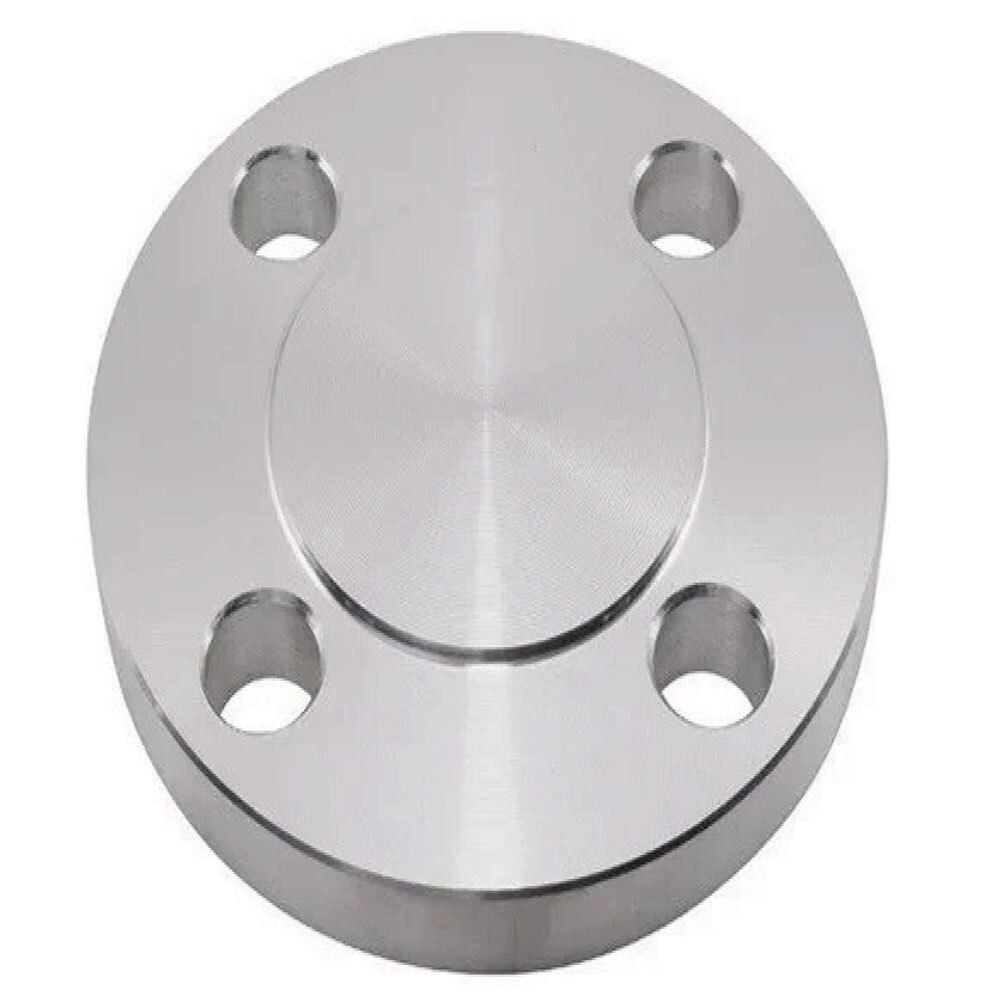 SS 310 Flanges