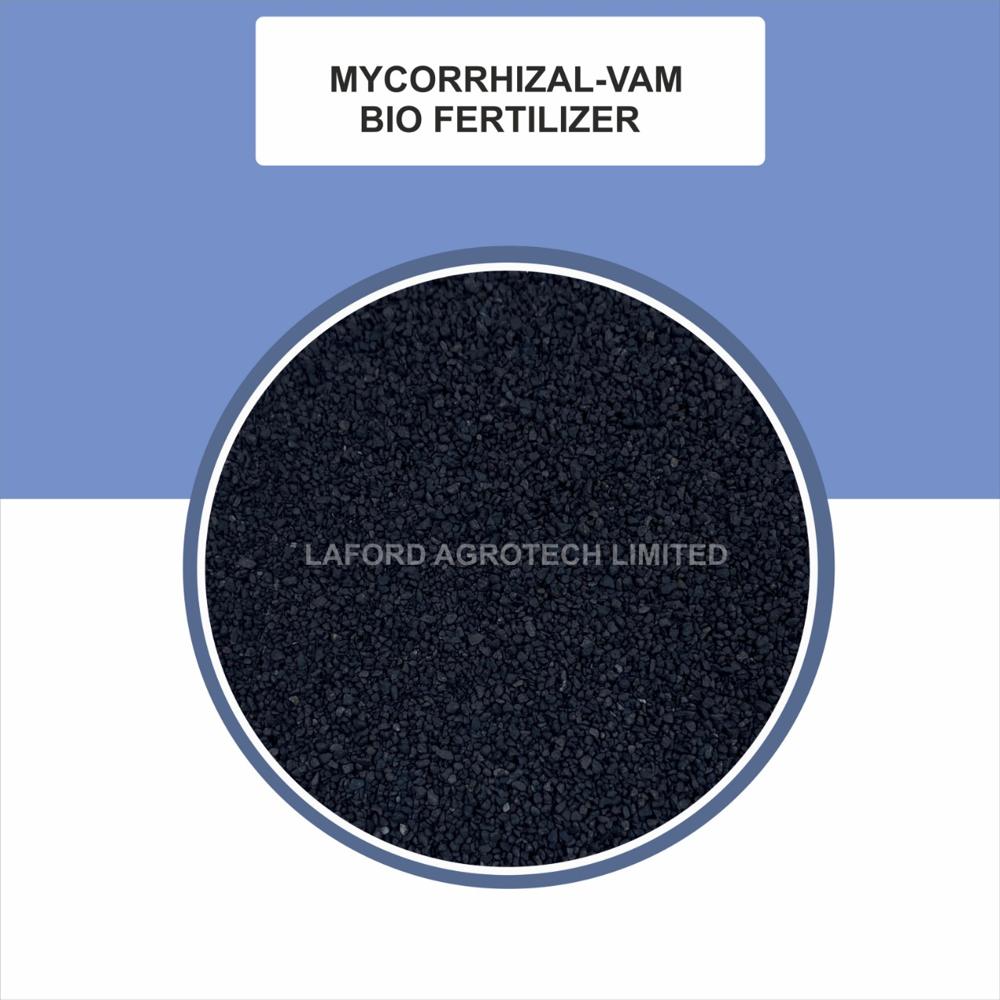 Mycorrhiza VAM