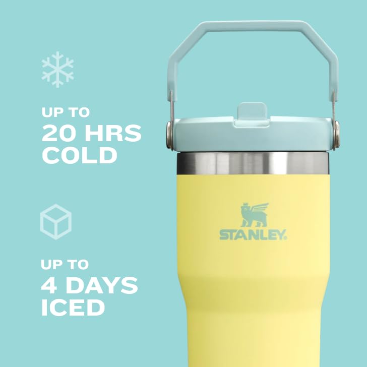 900 ML STANLEY TUMBLER