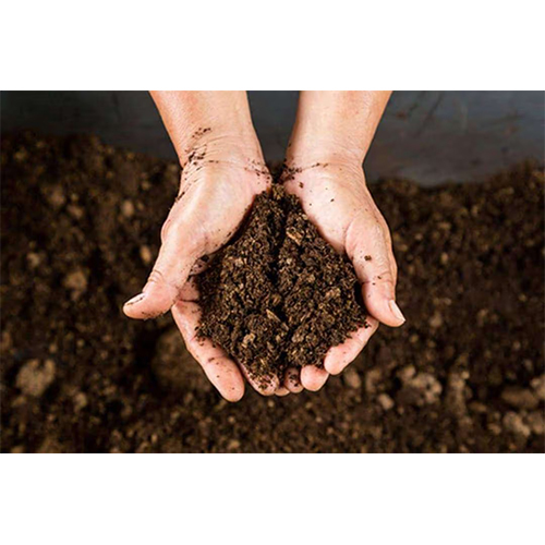 Organic Compost Fertilizer