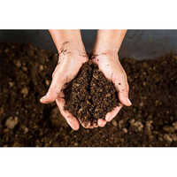 Organic Compost Fertilizer