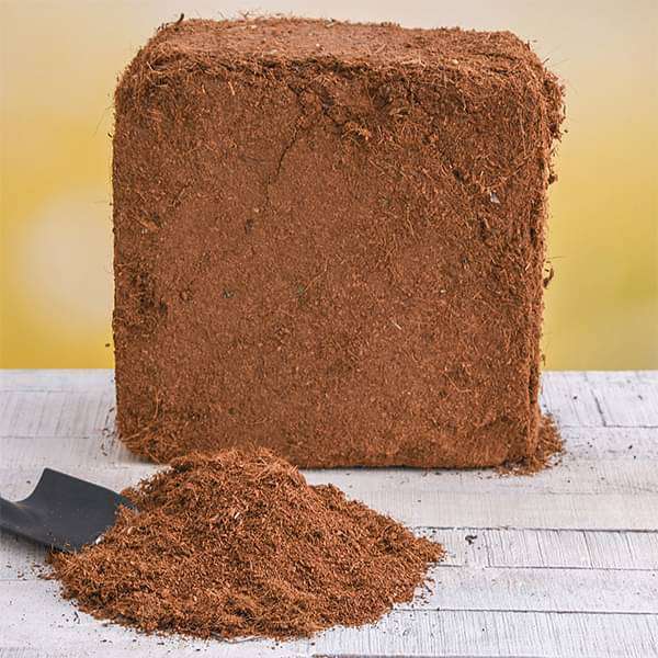 Natural Cocopeat Powder