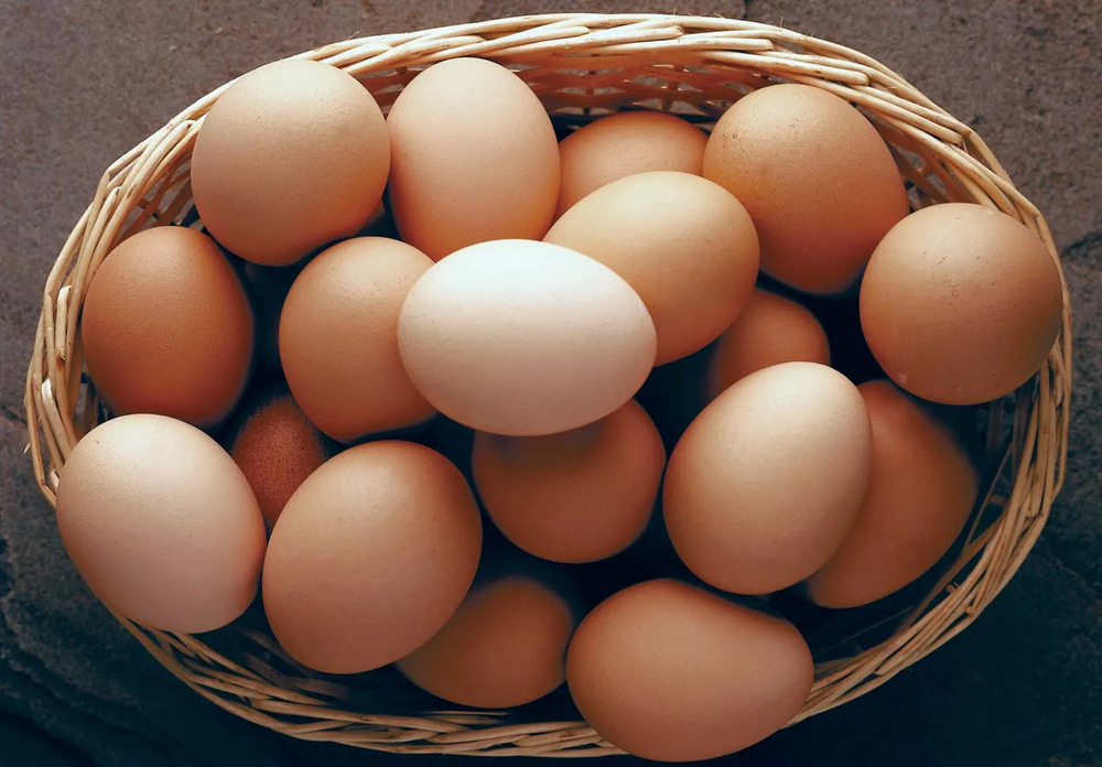 Fresh Eggs