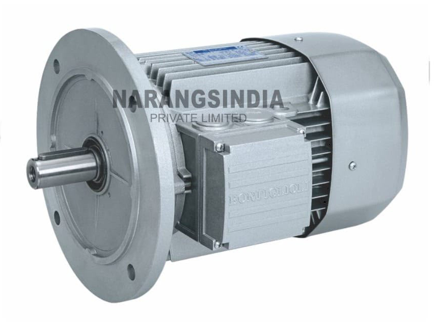 Bonfiglioli Motors