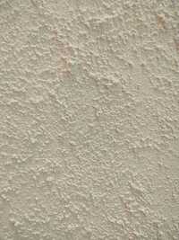 Grain Texture Paint