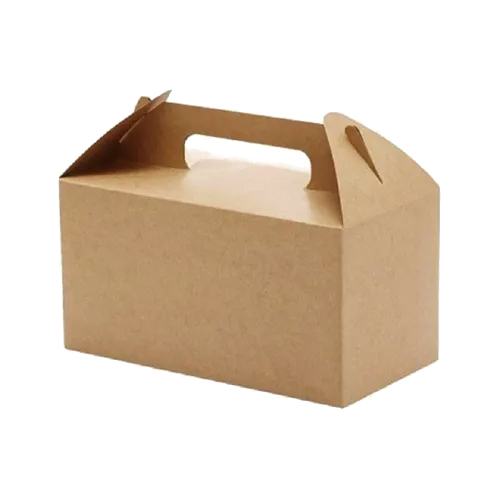 Hand Holding Corrugated Box