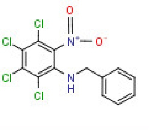 2-(Benzylamino) -3,4,5,6 -tetrachloronitrobenzene