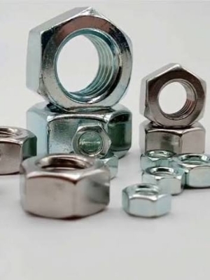 SS 310 Nut
