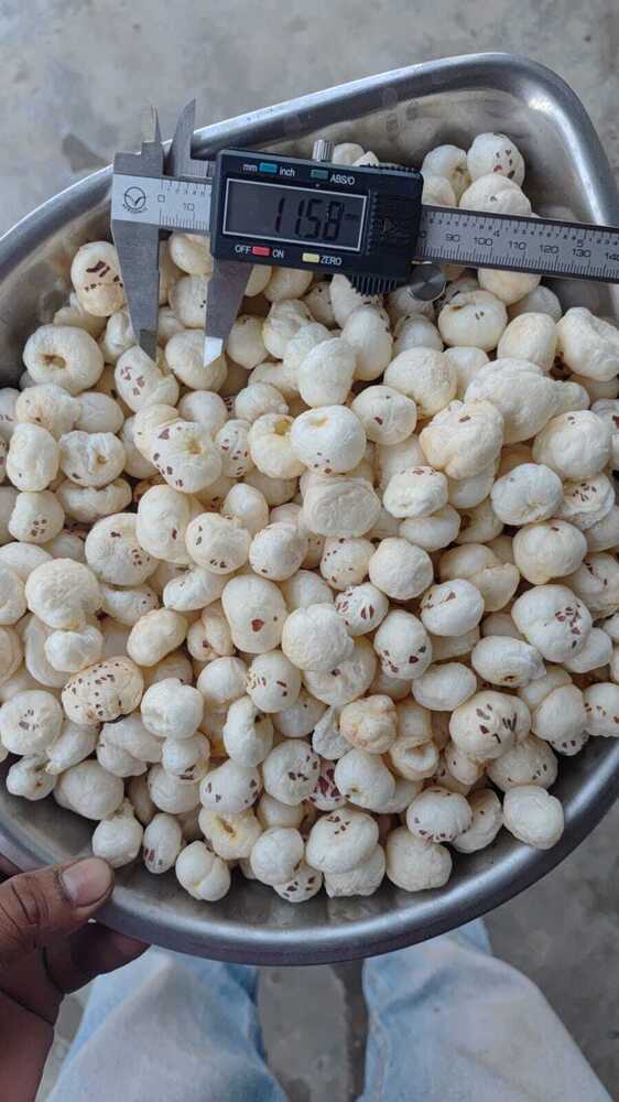 Plain Makhana