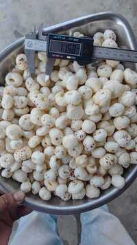 Makhana Dry Fruit