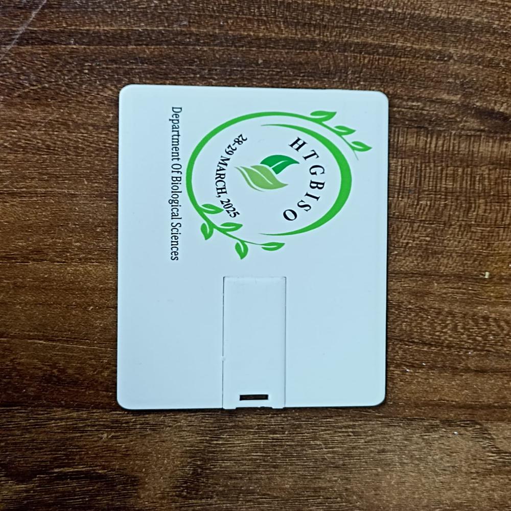 Atm Card Usb PenDrive