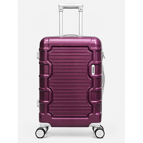 Purple PP Trolley Luggage  Gray Fitting