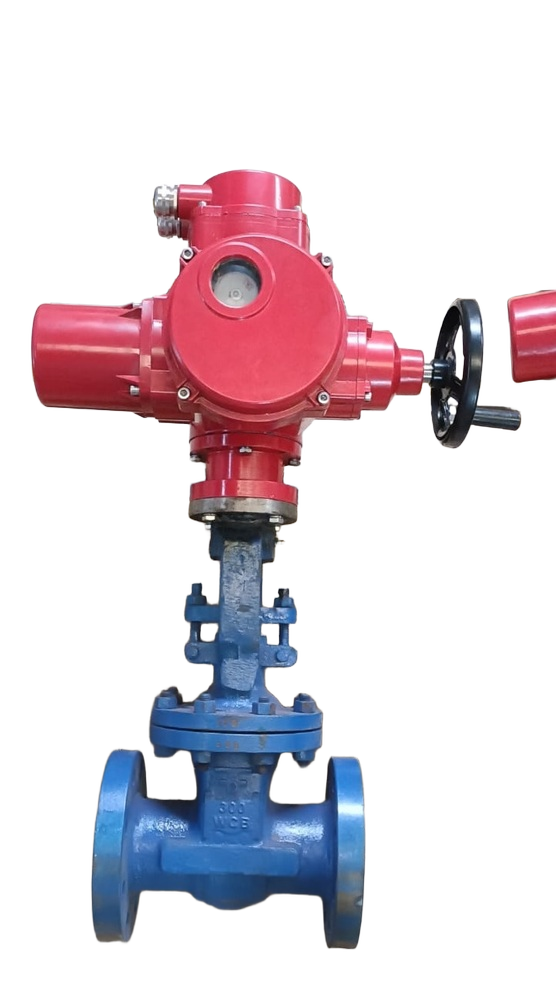 Motorised Gate Valve