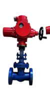 Motorised Gate Valve