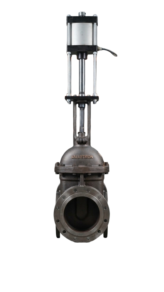 Pneumatic Gate Valve
