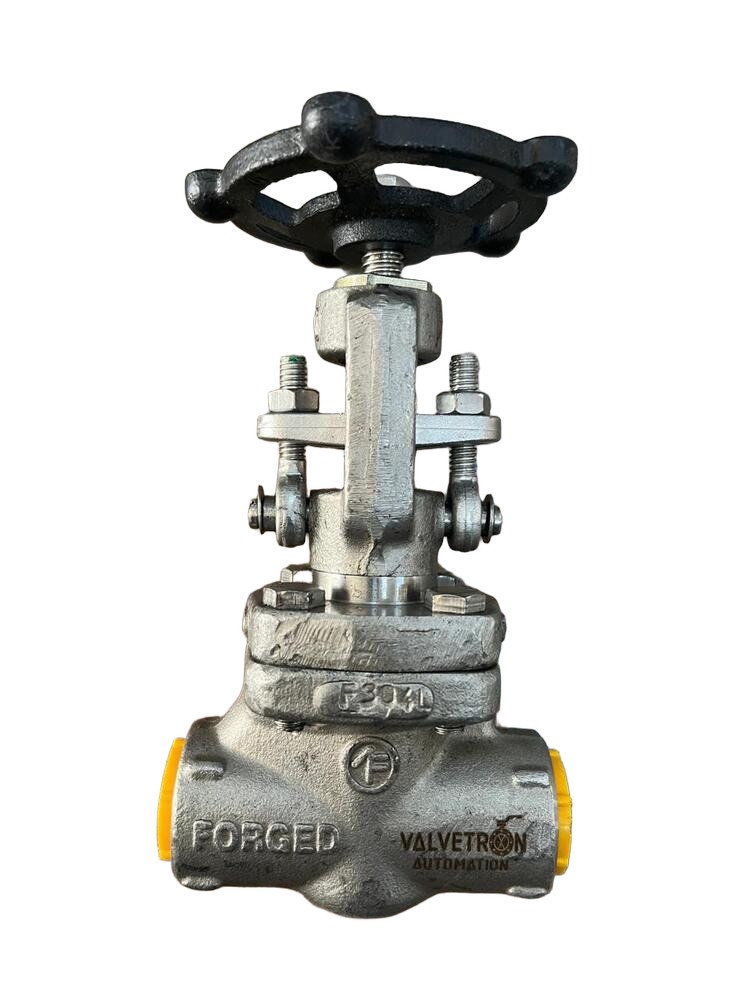 Forged Globe Valve