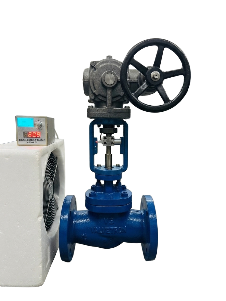 Gear Operated Globe Valve