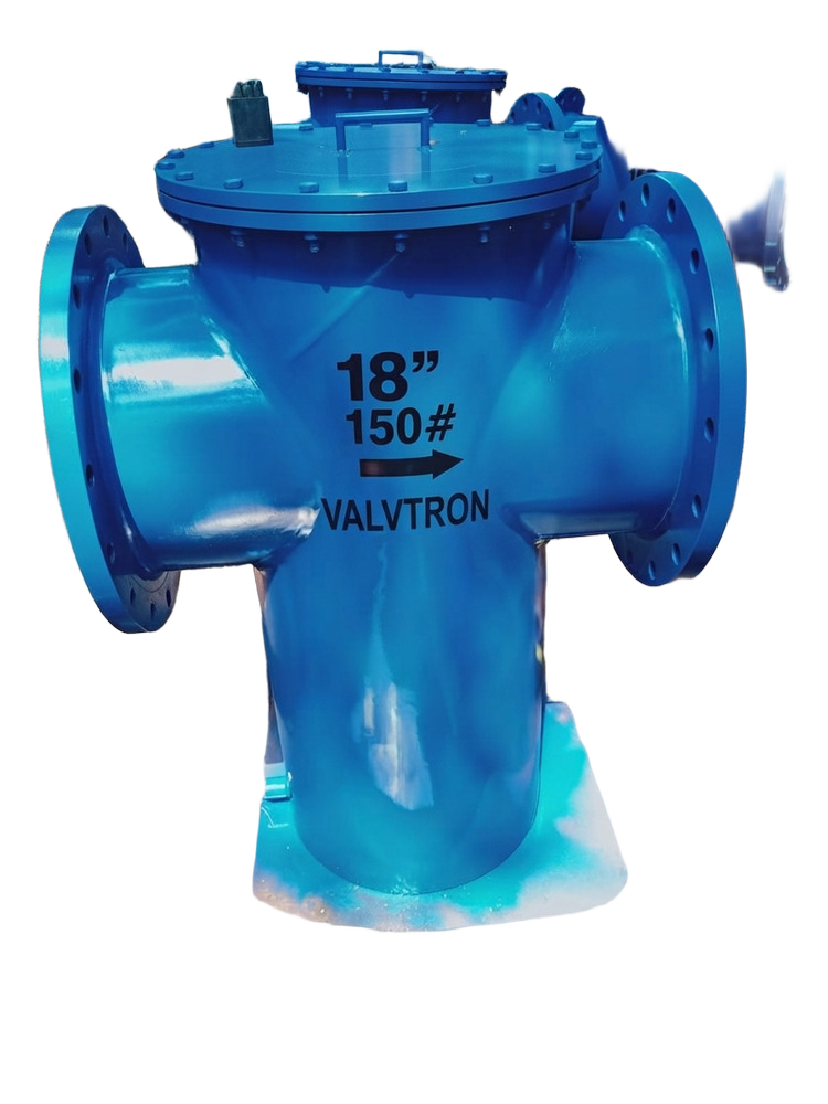 Basket Type Strainer