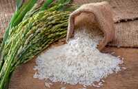 White Rice