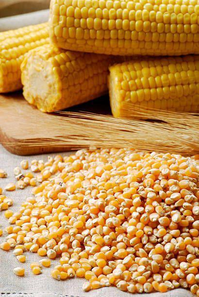 Yellow Maize